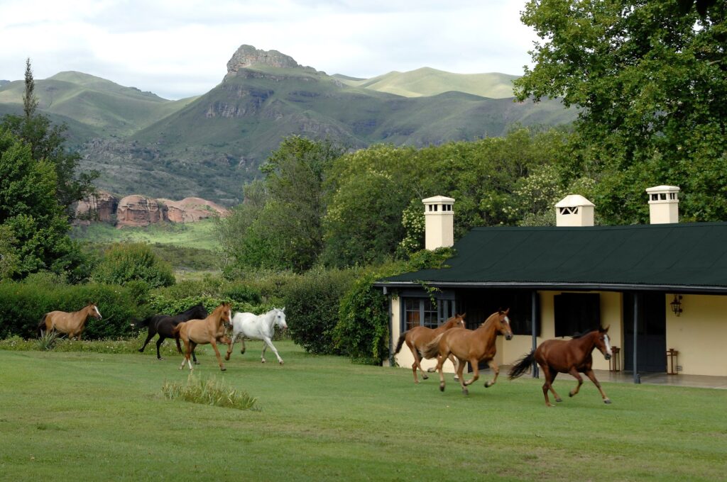 Argentina Pampas estancia