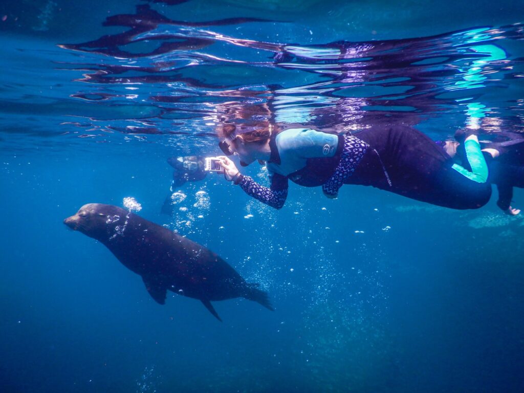 Galapagos snorkel with sea lions
